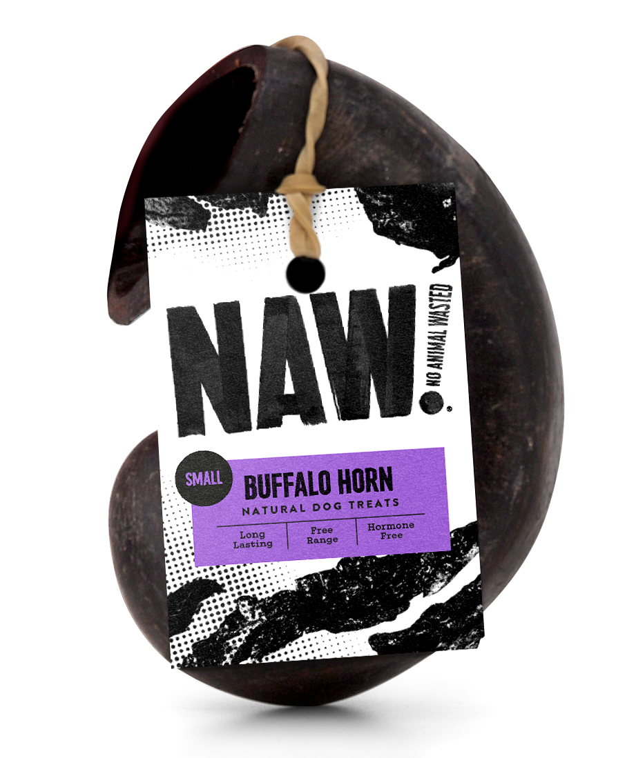 Buffalo Horn Small