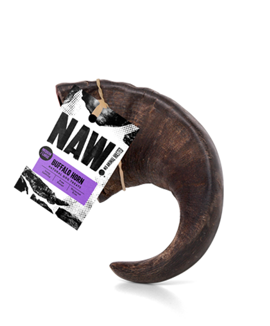 Buffalo Horn M/L