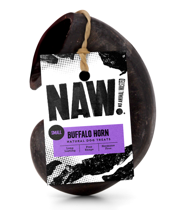 Buffalo Horn Small