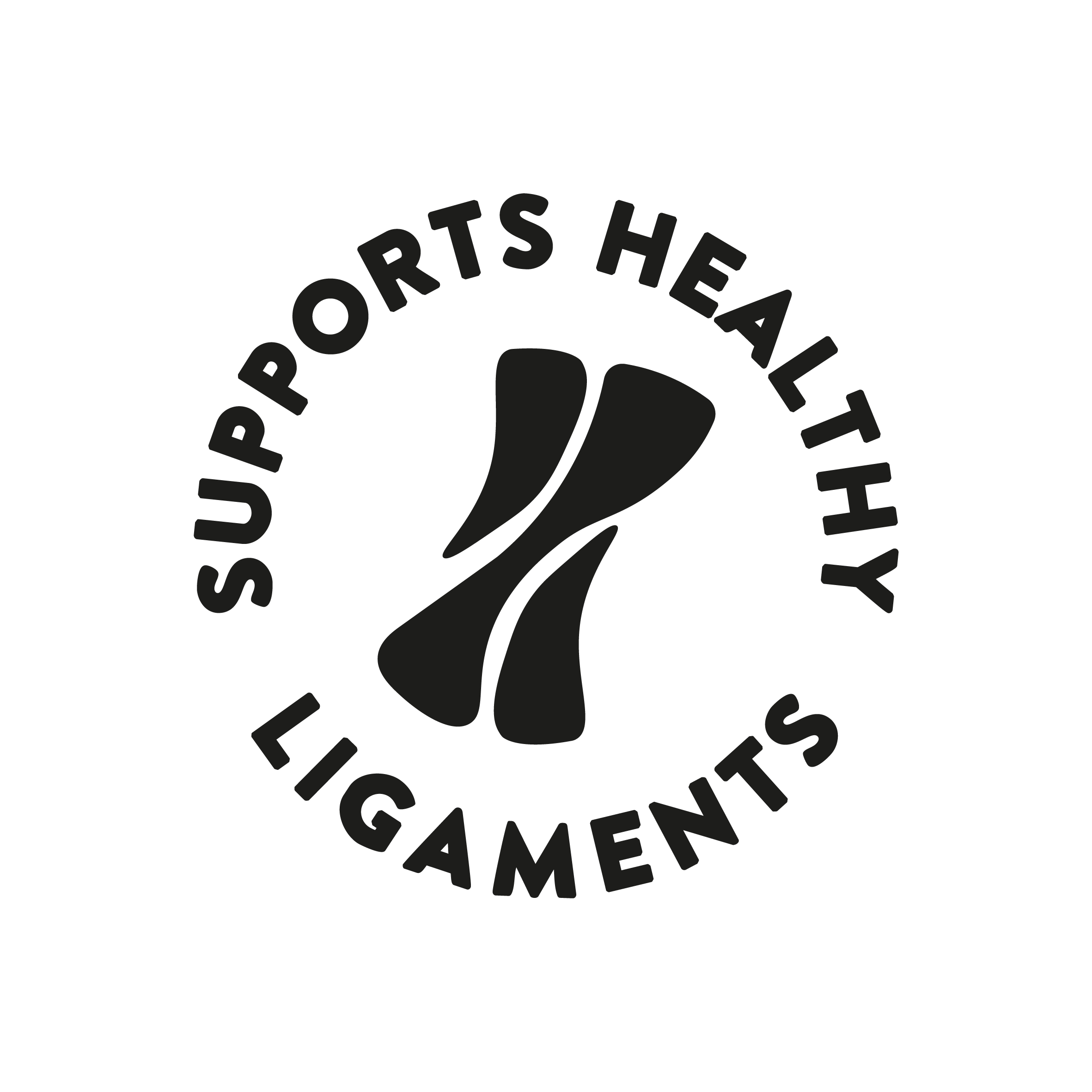 Supports Healthy Ligaments