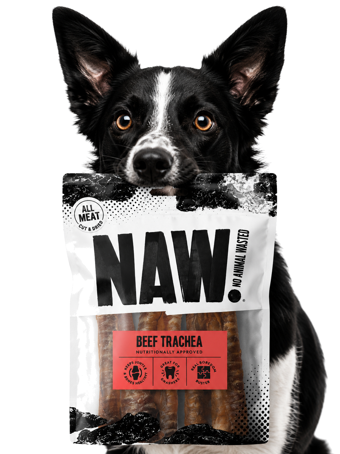 Dog enjoying the product