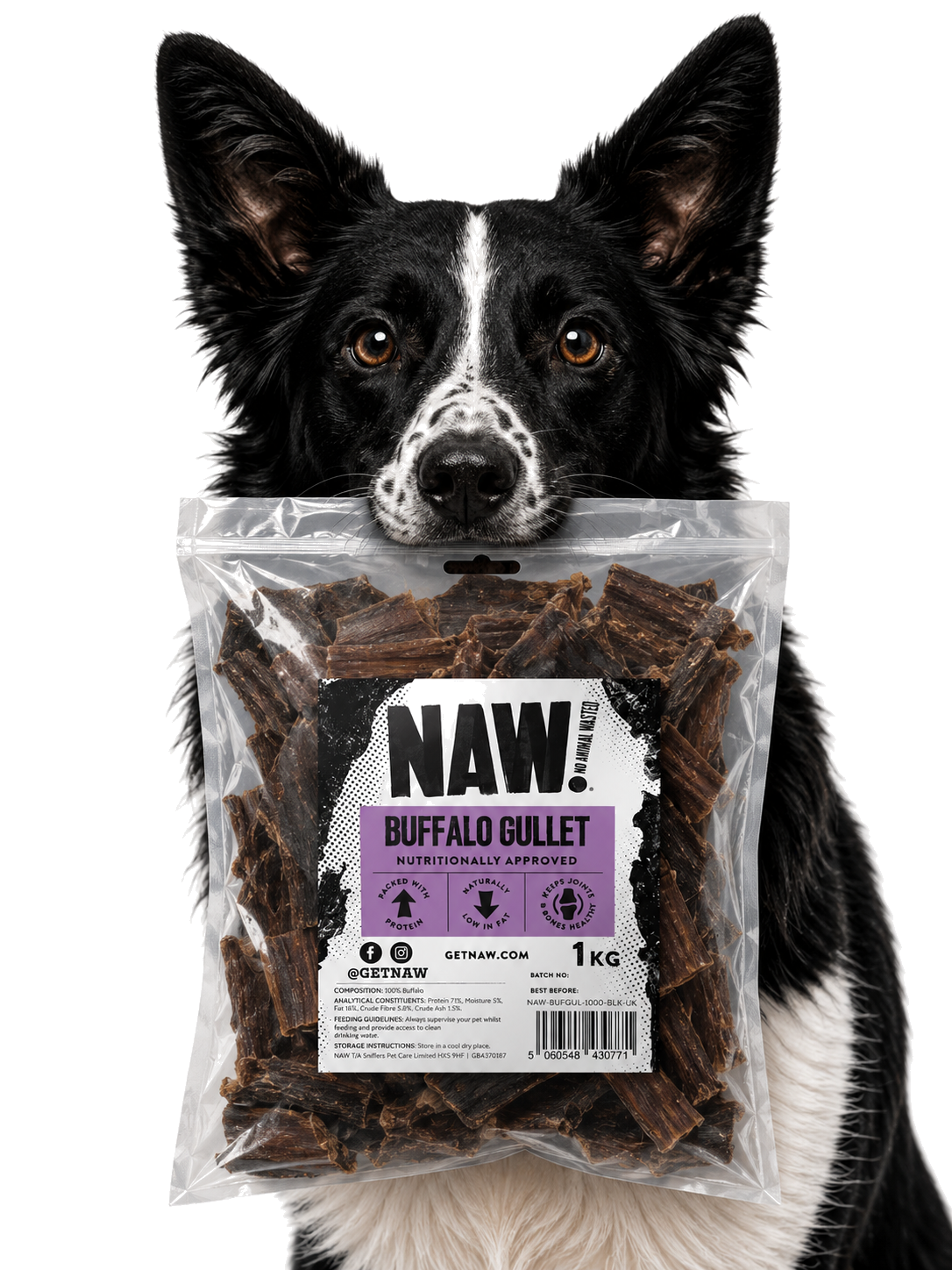 Dog enjoying the product