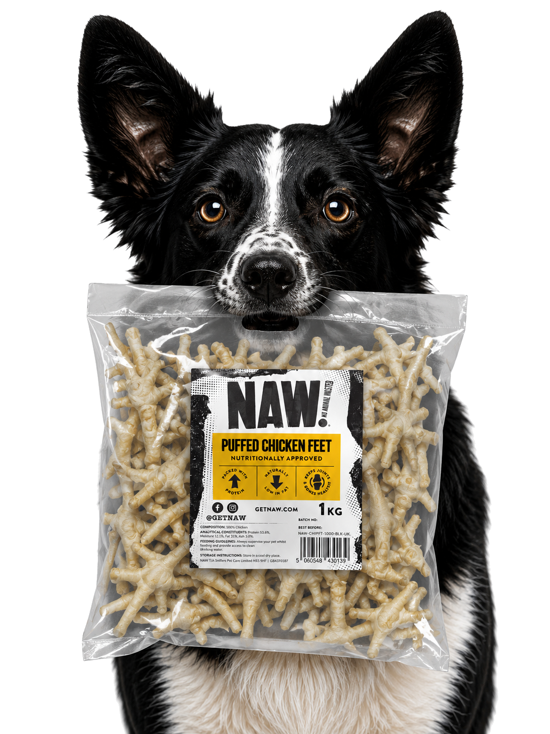 Dog enjoying the product