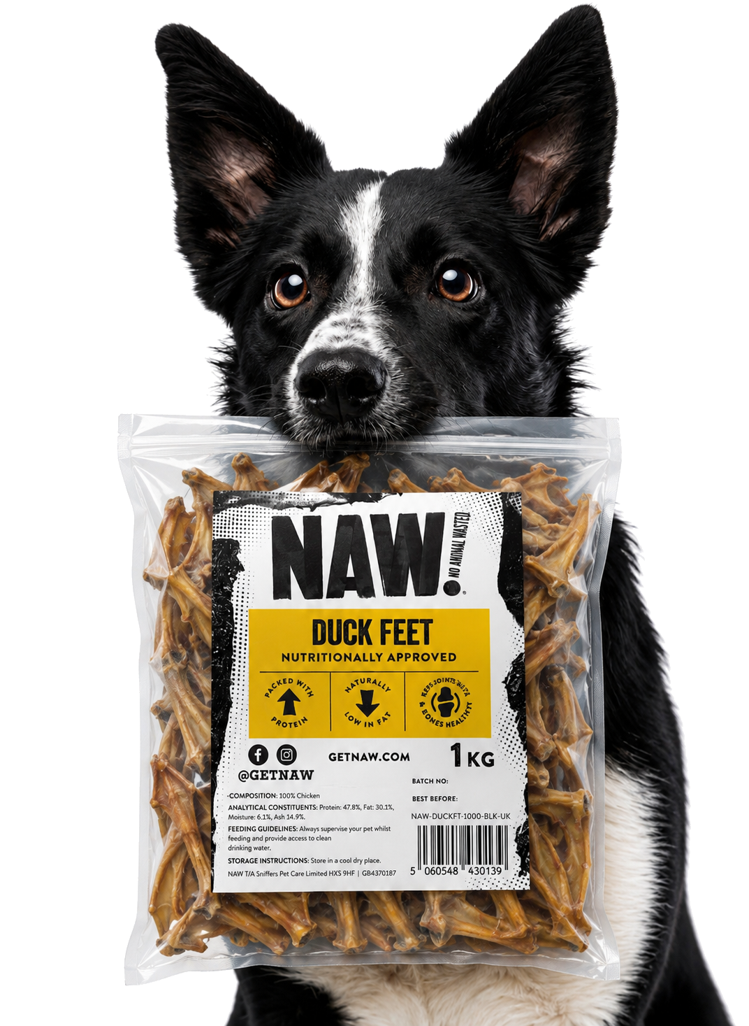 Dog enjoying the product