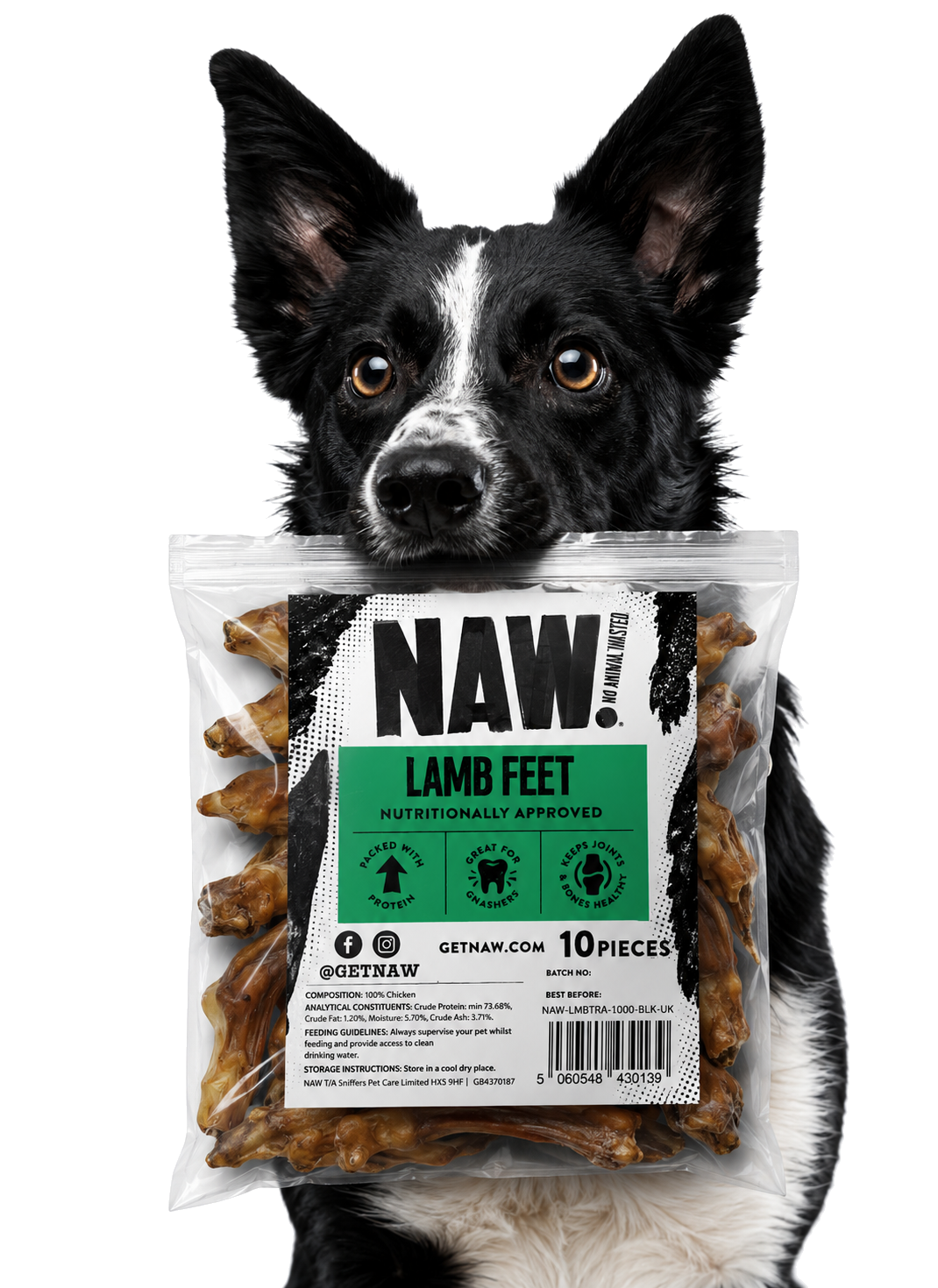 Dog enjoying the product