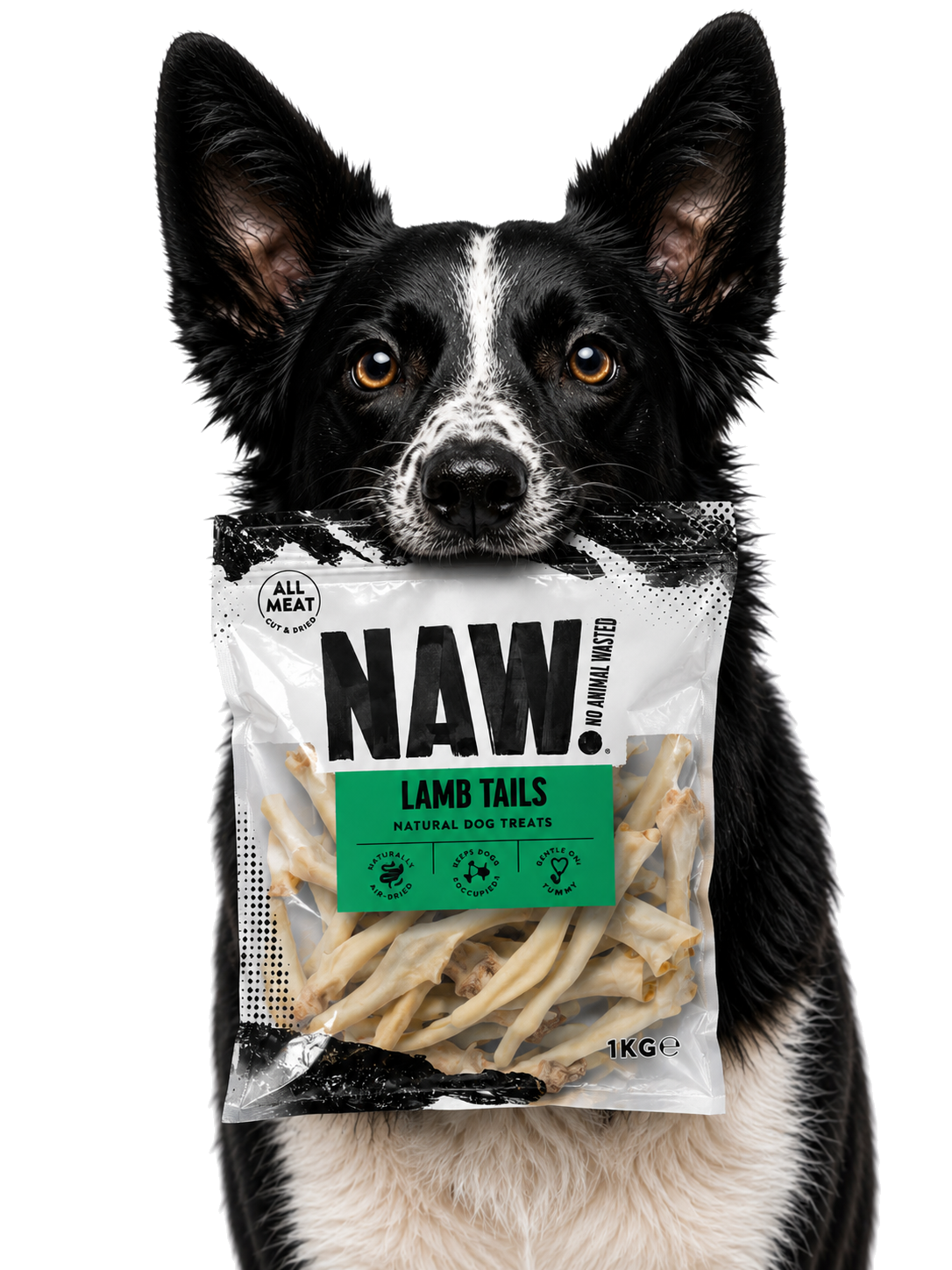 Dog enjoying the product