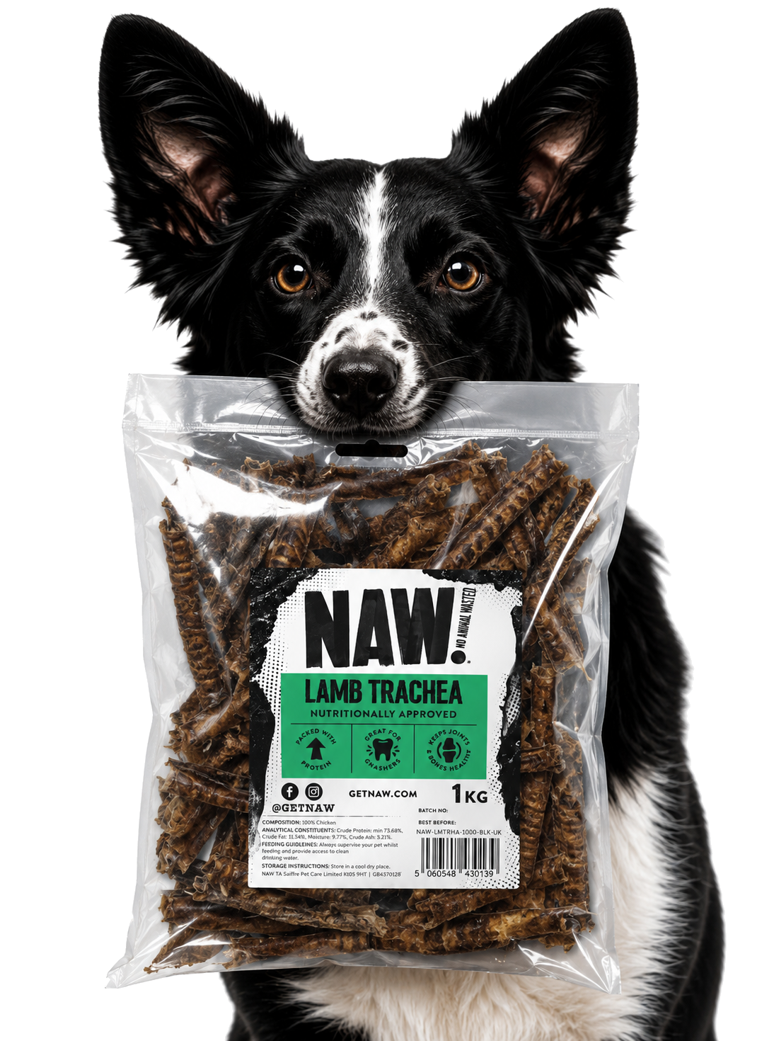 Dog enjoying the product