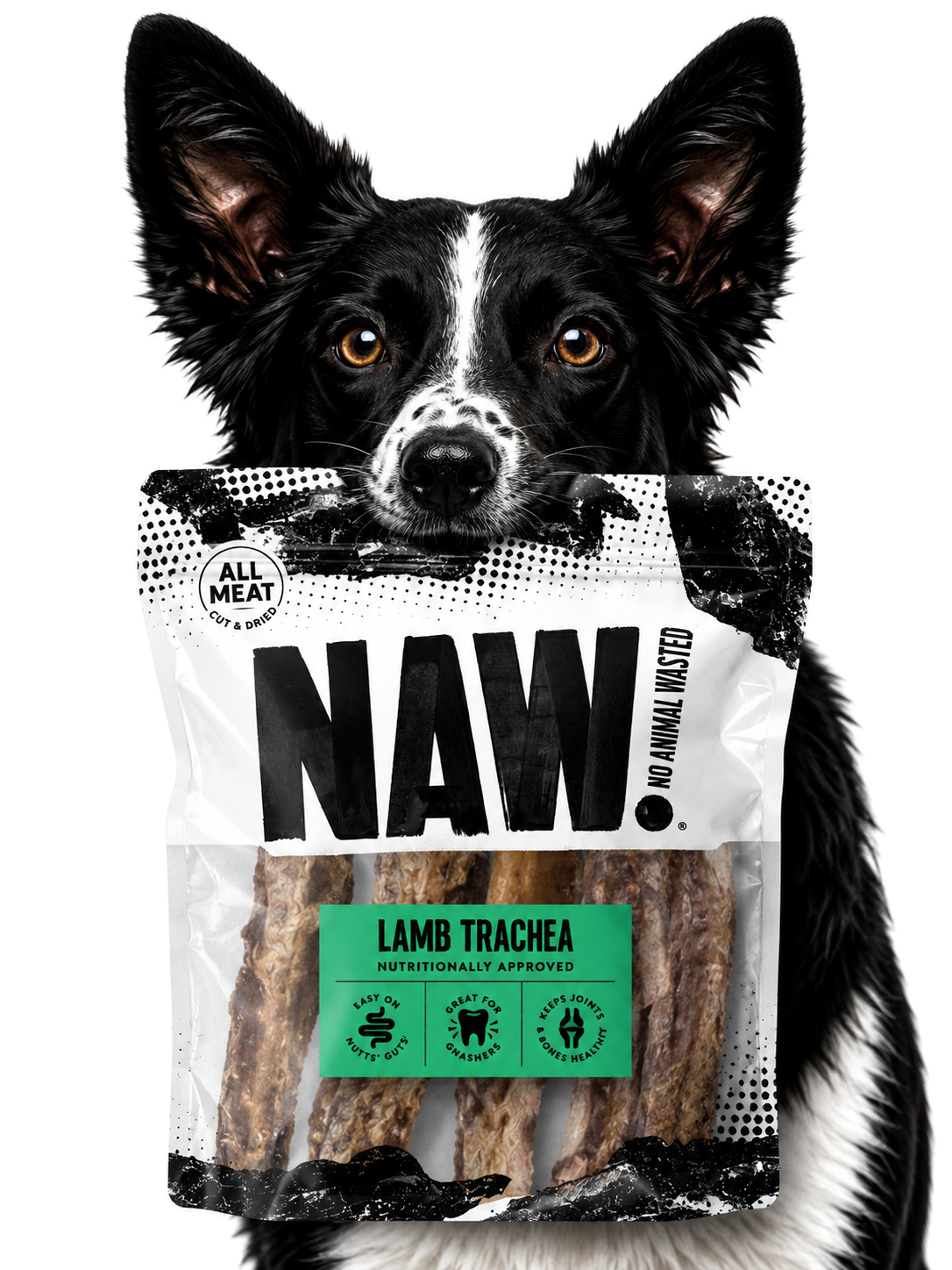 Dog enjoying the product