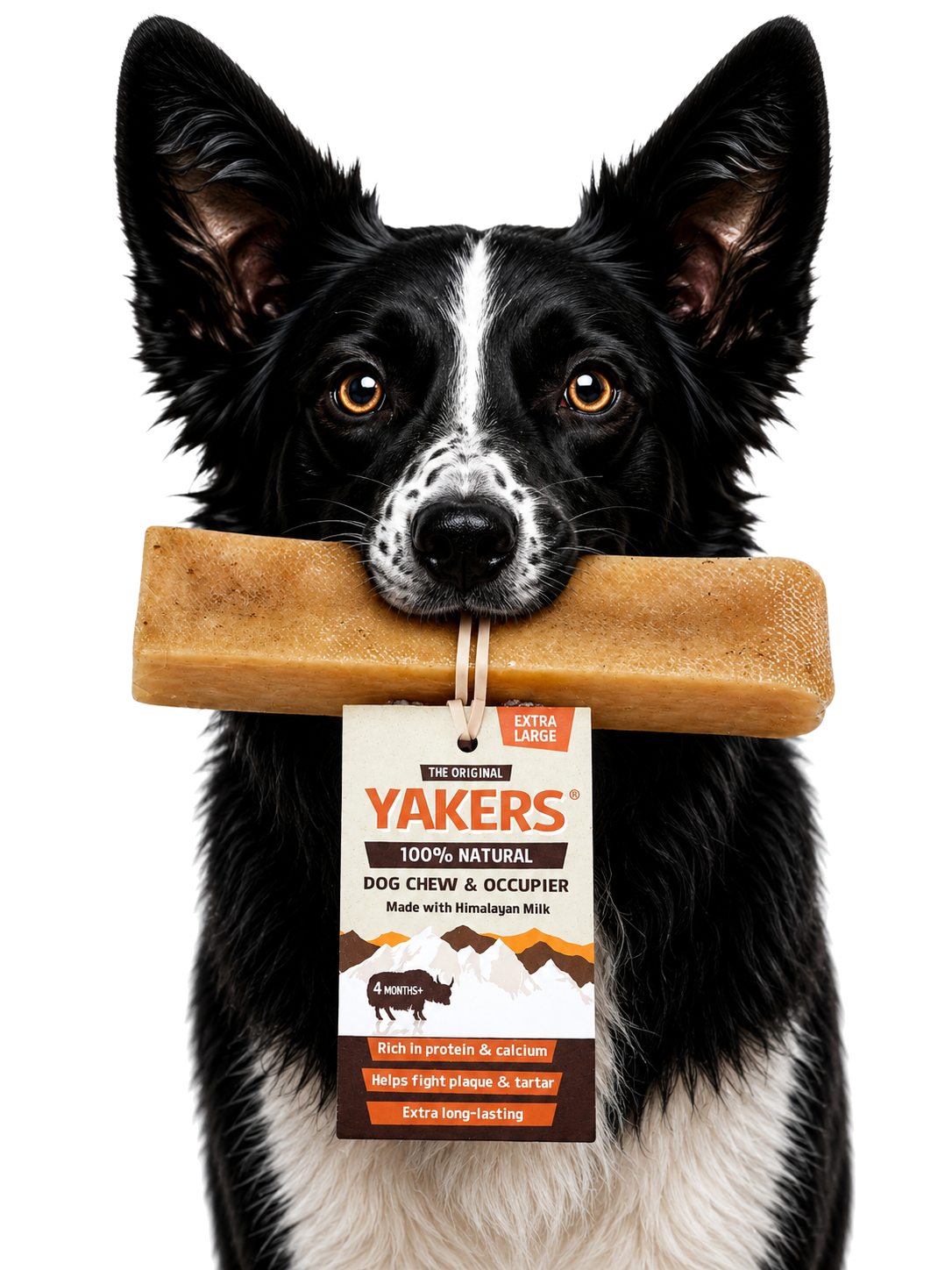 Dog enjoying the product