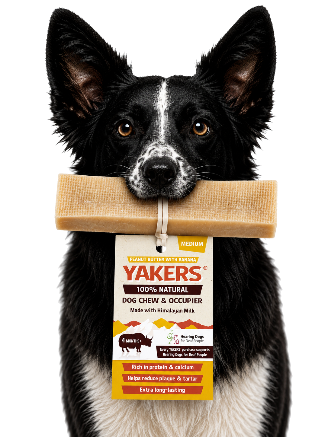 Dog enjoying the product