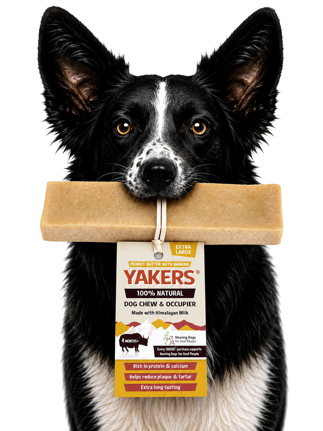 Dog enjoying the product